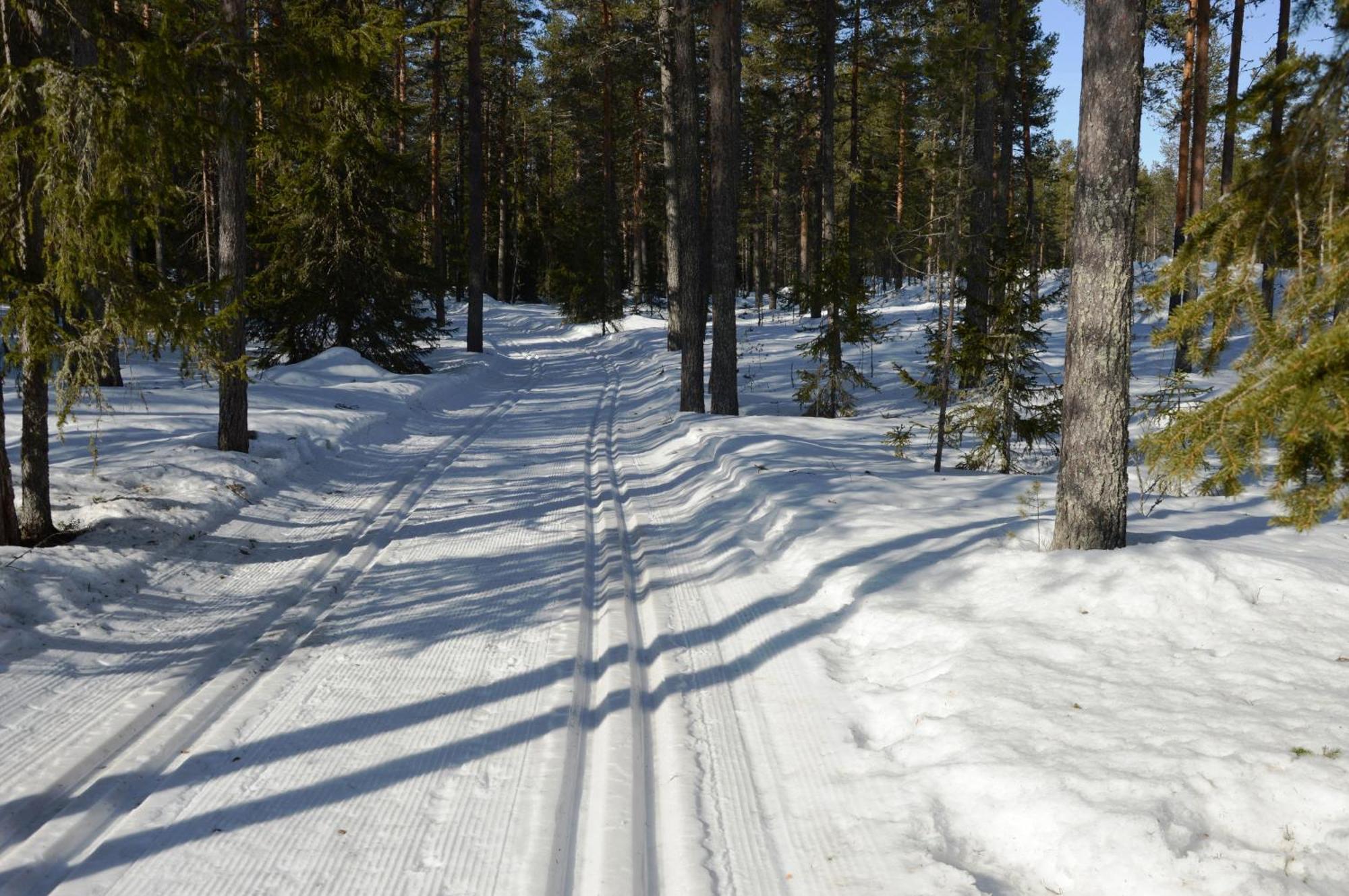 14 - Fulufjellets Nasjonalparker - Natur-, Dyre- Og Fugleopplevelser Trysil Exterior foto
