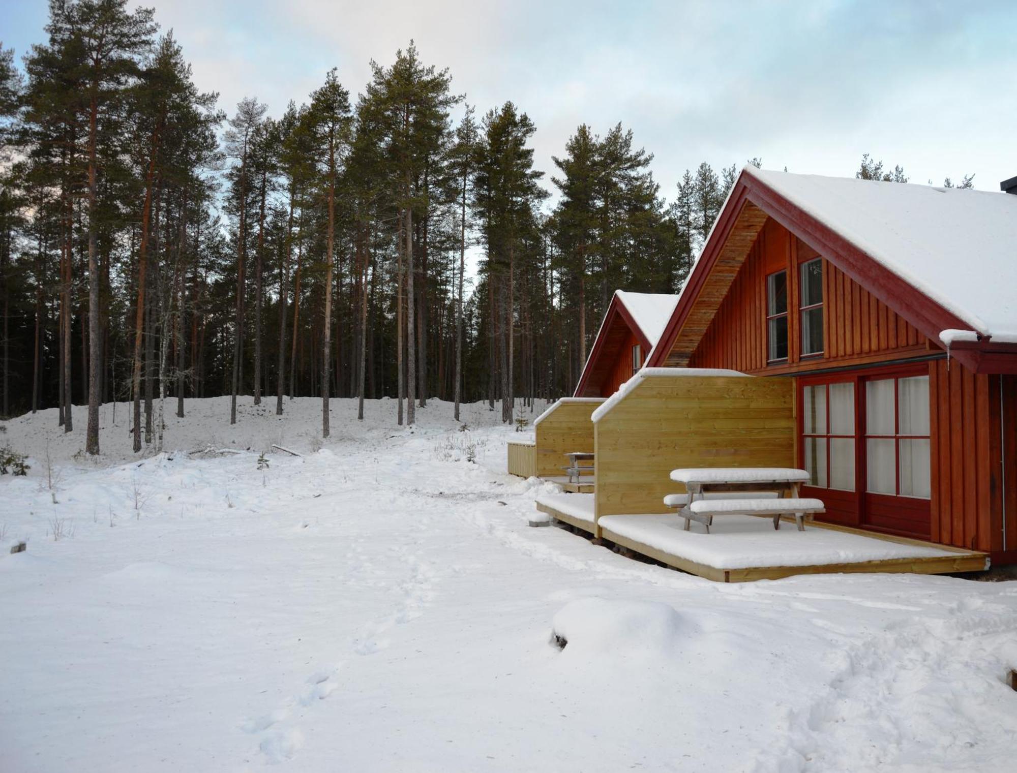 14 - Fulufjellets Nasjonalparker - Natur-, Dyre- Og Fugleopplevelser Trysil Exterior foto