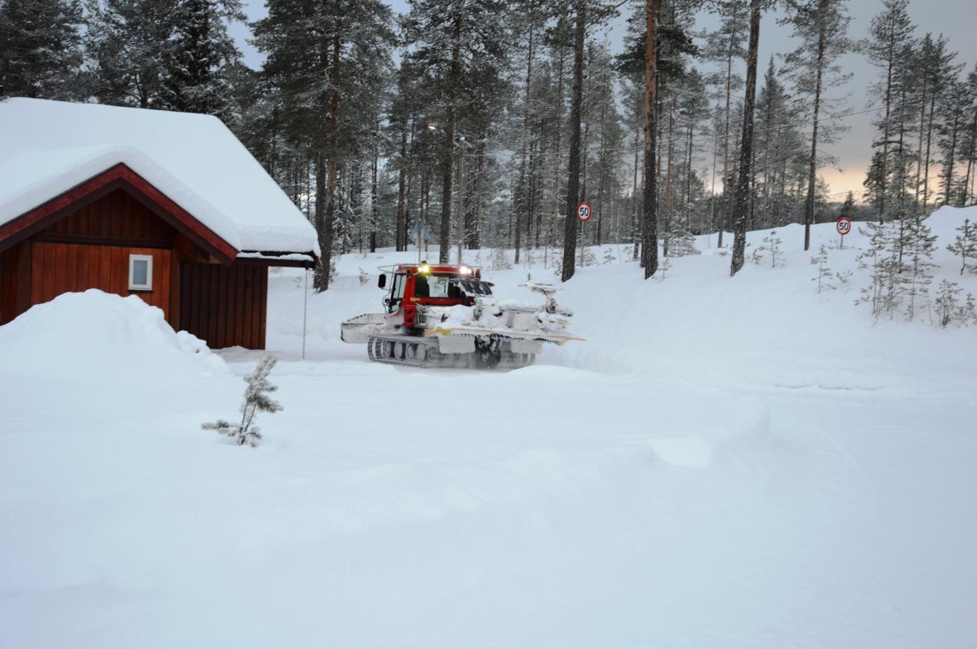 14 - Fulufjellets Nasjonalparker - Natur-, Dyre- Og Fugleopplevelser Trysil Exterior foto