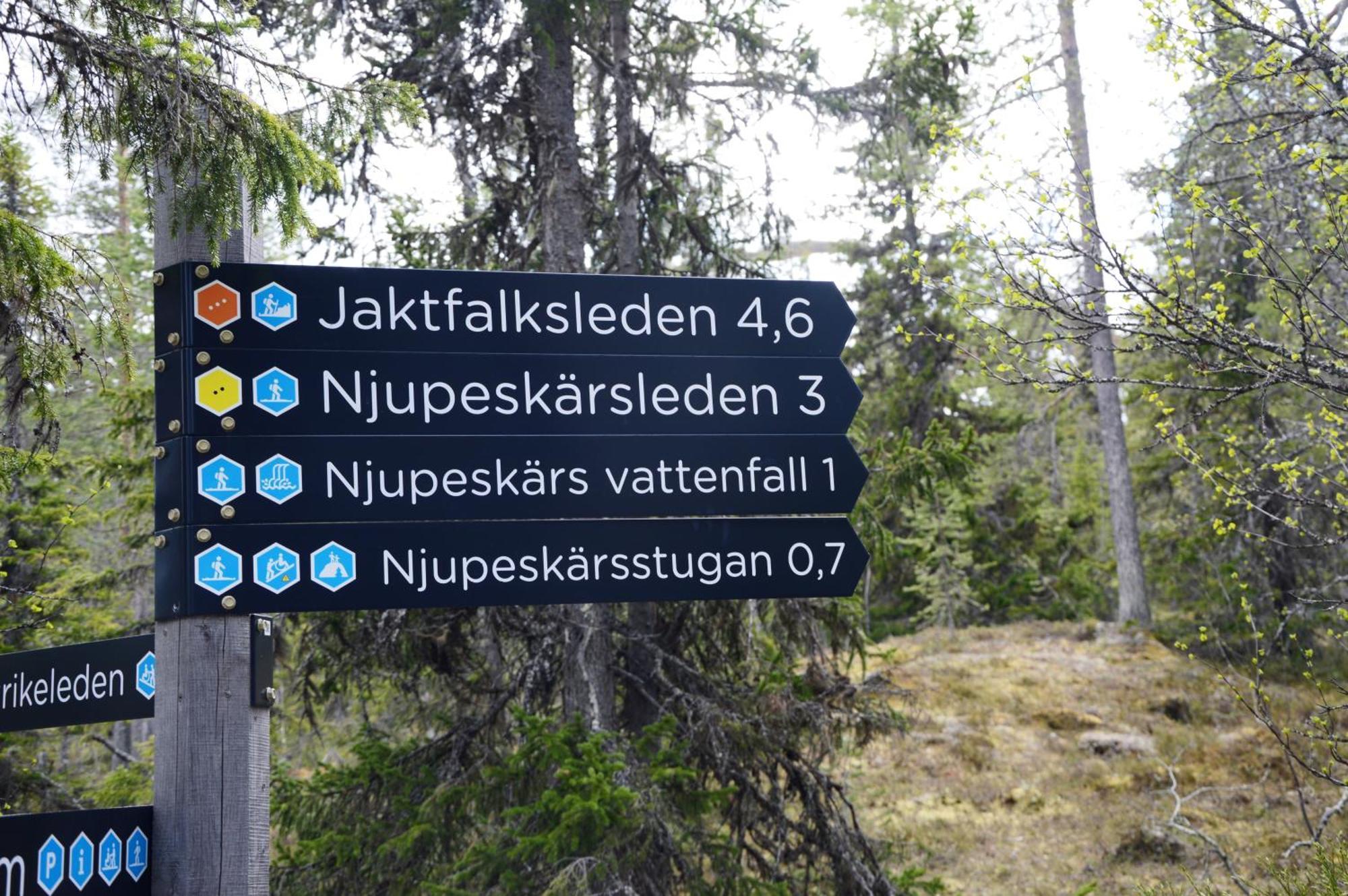 14 - Fulufjellets Nasjonalparker - Natur-, Dyre- Og Fugleopplevelser Trysil Exterior foto