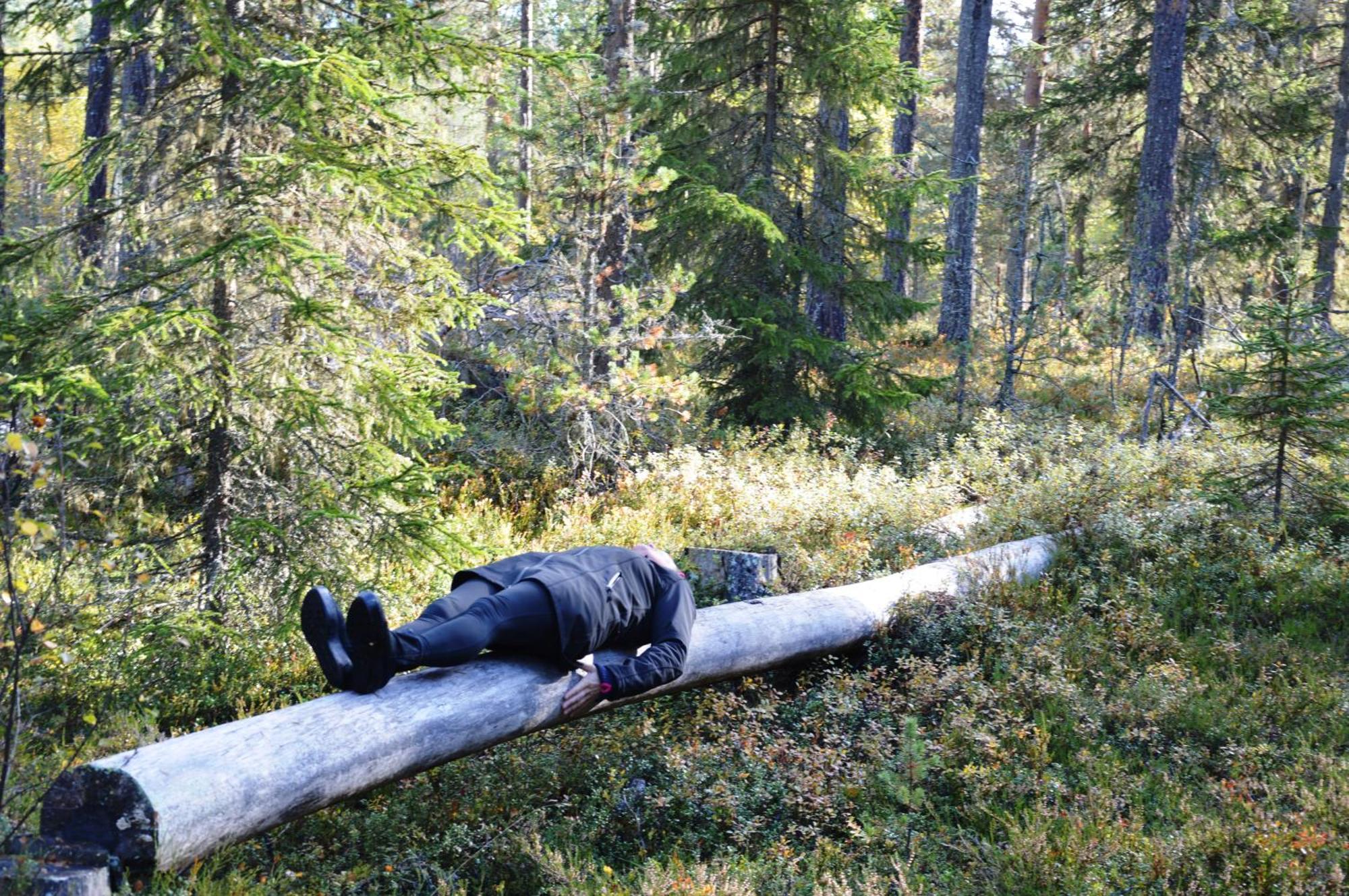 14 - Fulufjellets Nasjonalparker - Natur-, Dyre- Og Fugleopplevelser Trysil Exterior foto