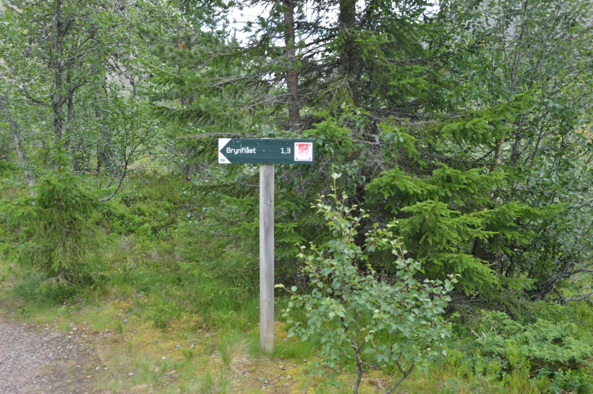 14 - Fulufjellets Nasjonalparker - Natur-, Dyre- Og Fugleopplevelser Trysil Exterior foto