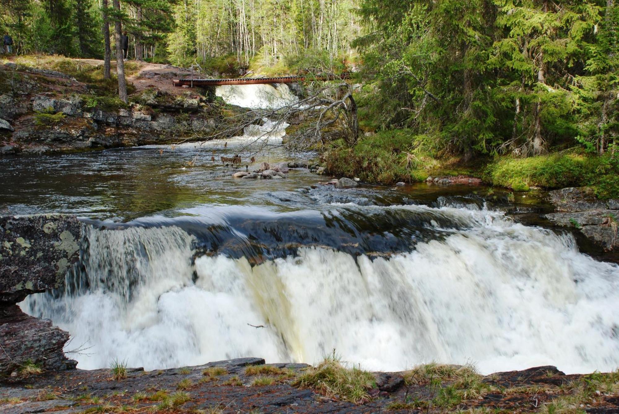 14 - Fulufjellets Nasjonalparker - Natur-, Dyre- Og Fugleopplevelser Trysil Exterior foto