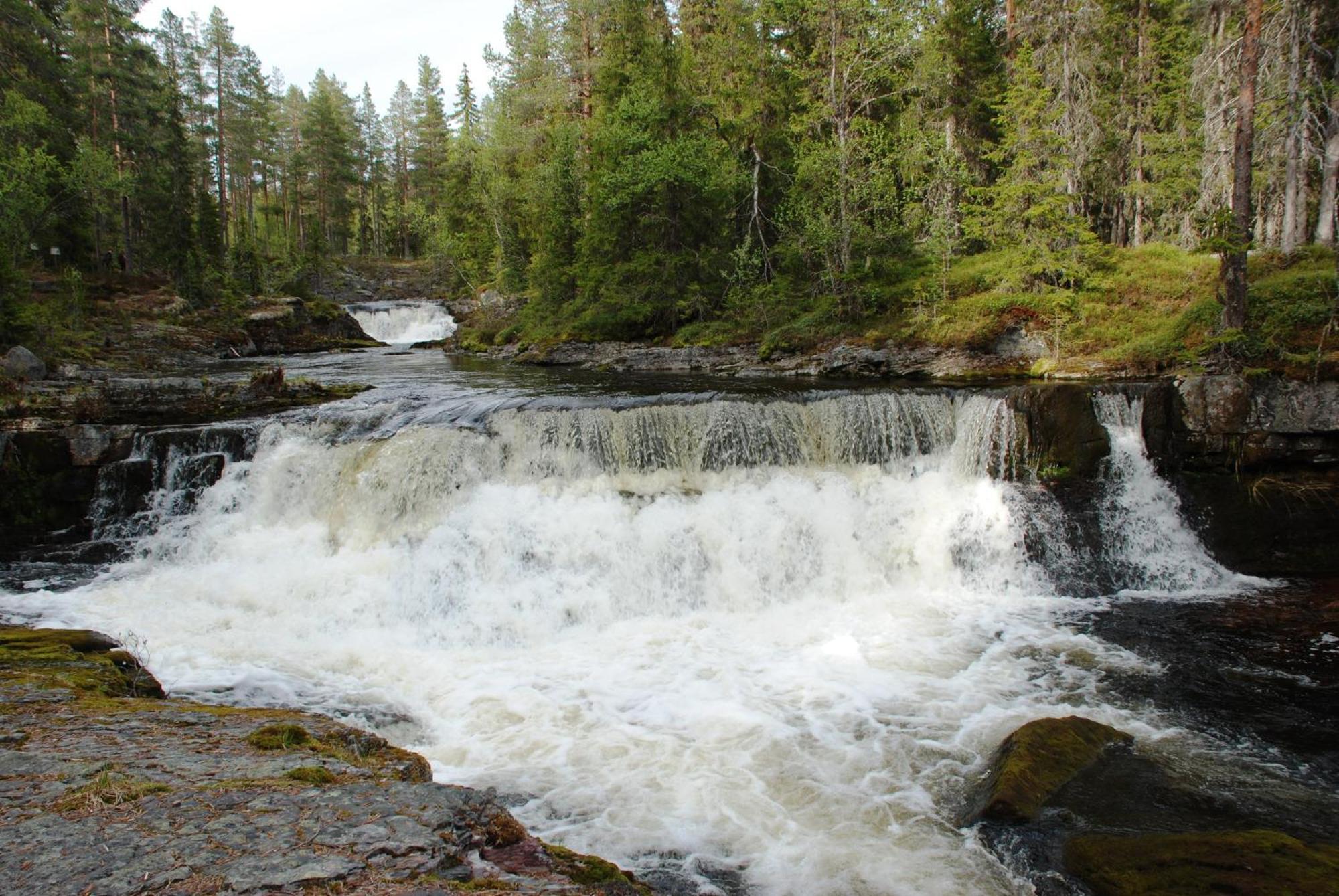 14 - Fulufjellets Nasjonalparker - Natur-, Dyre- Og Fugleopplevelser Trysil Exterior foto